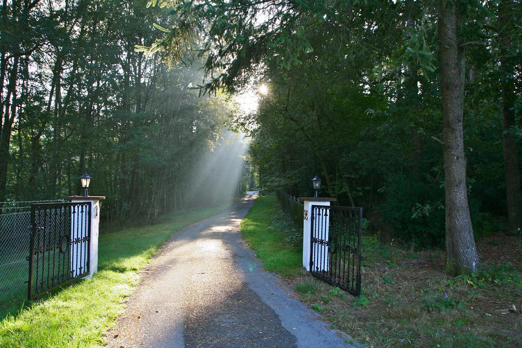Ferienhaus Huus Ton Witten Barg Undeloh Buitenkant foto