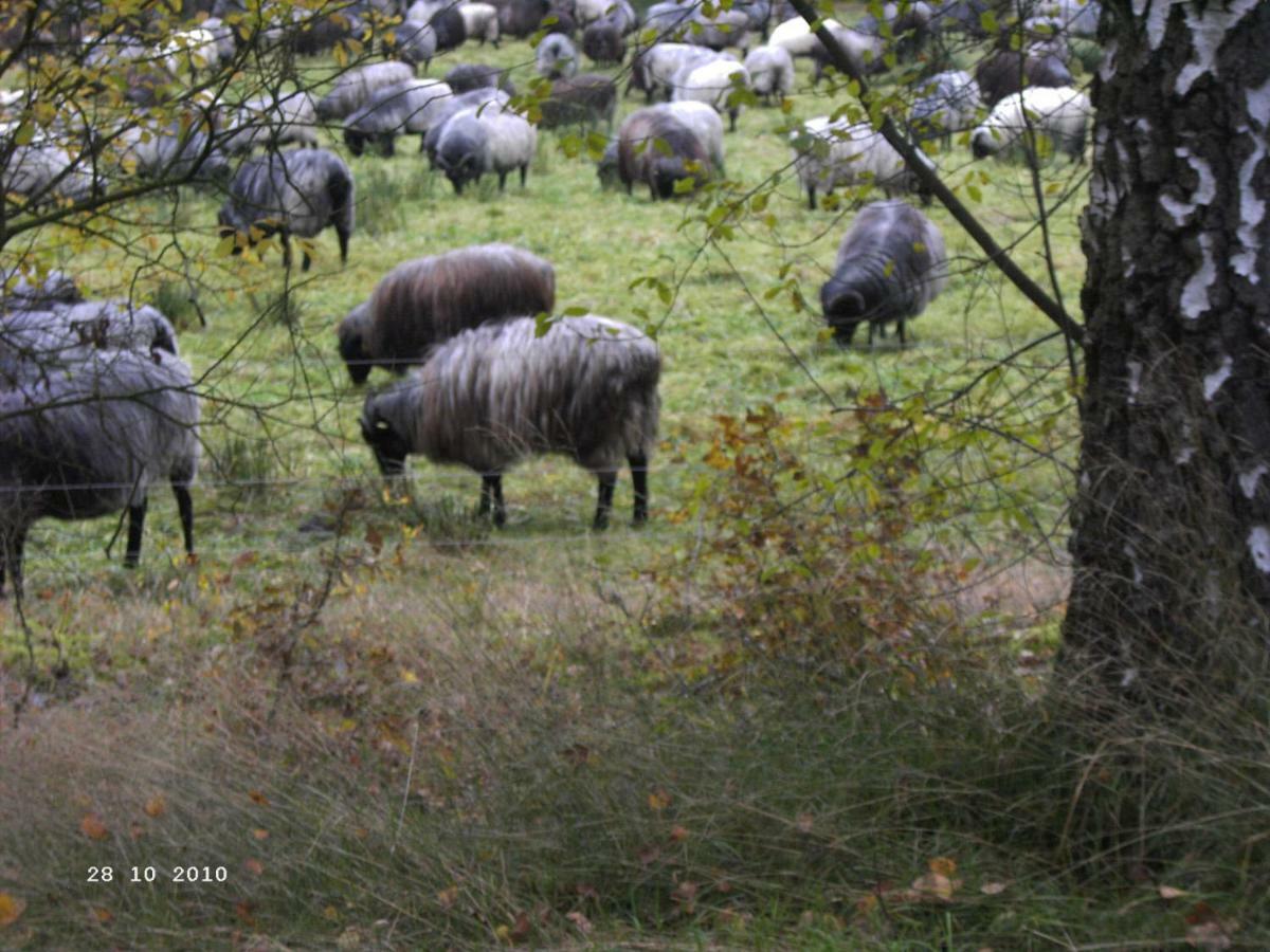 Ferienhaus Huus Ton Witten Barg Undeloh Buitenkant foto