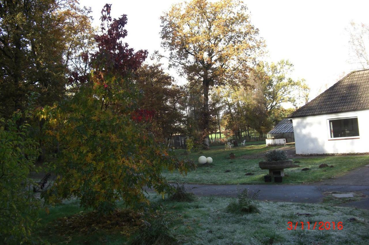 Ferienhaus Huus Ton Witten Barg Undeloh Buitenkant foto